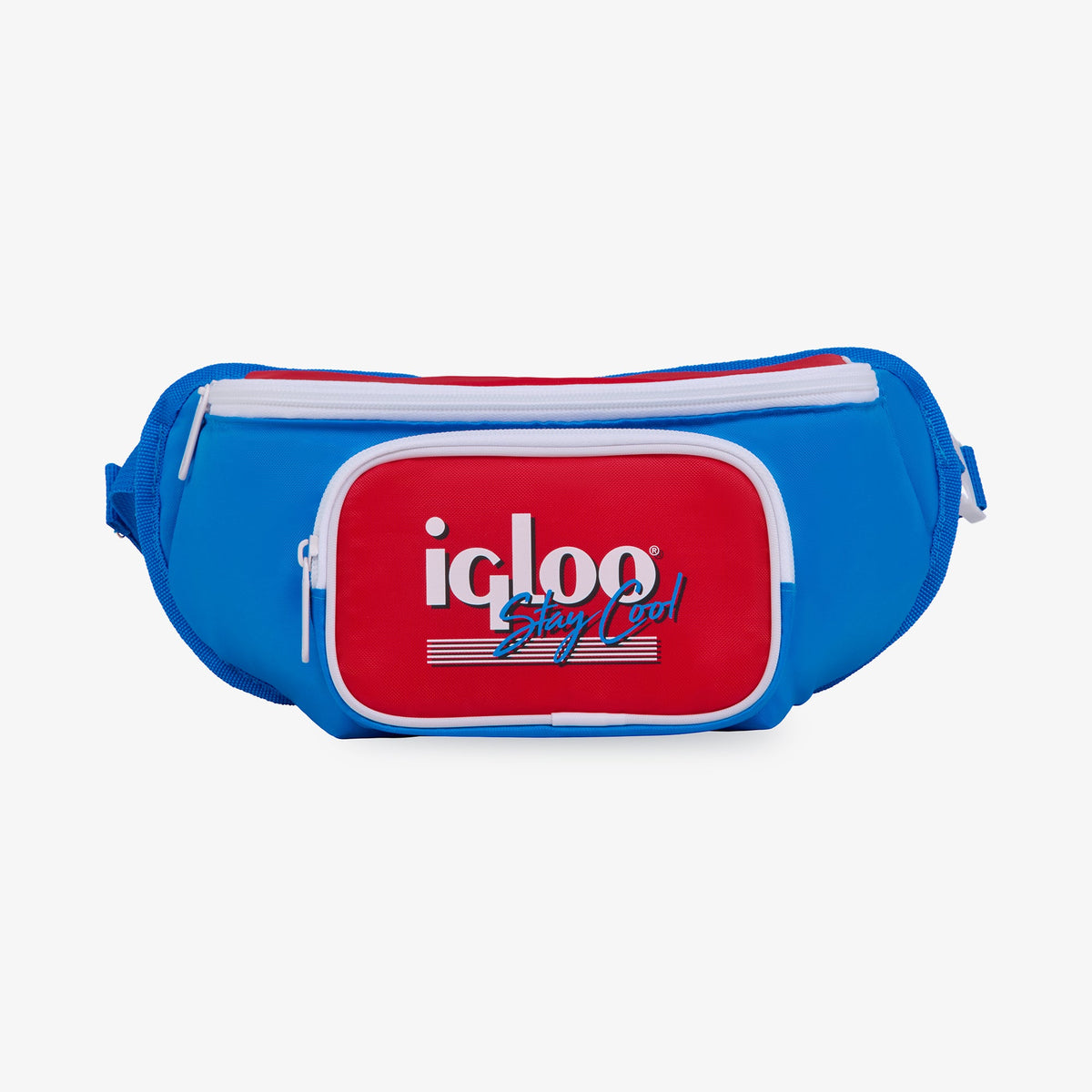 retro-fanny-pack-d6 00063079-F.jpg