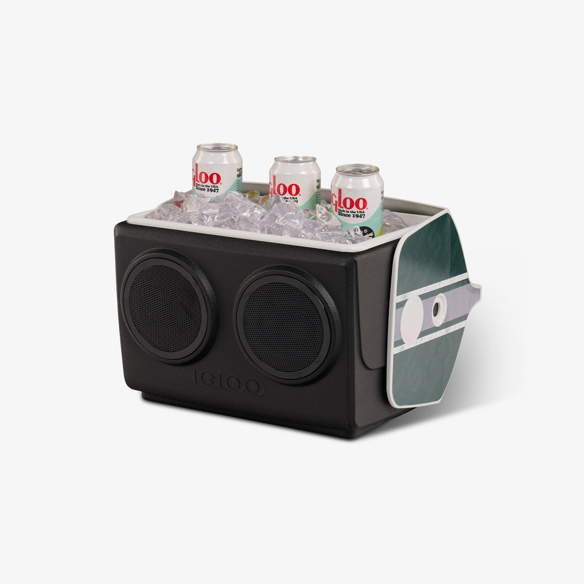 michigan-state-university-kooltunes-j8 00027730-P1.jpg