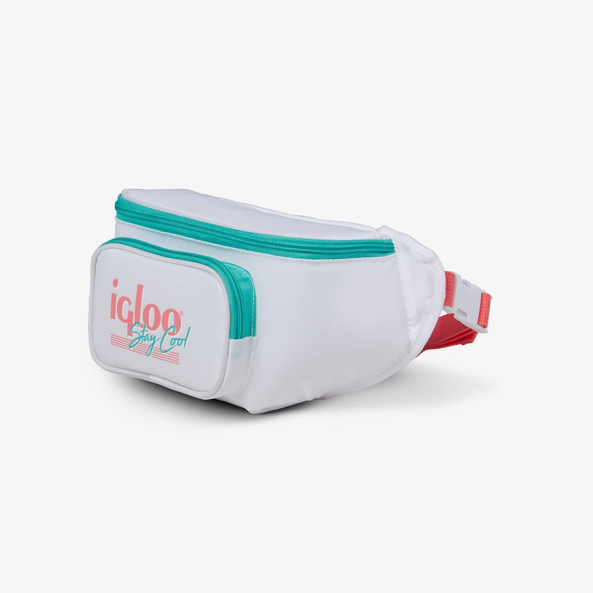 retro-fanny-pack-d6 00060951_2.jpg