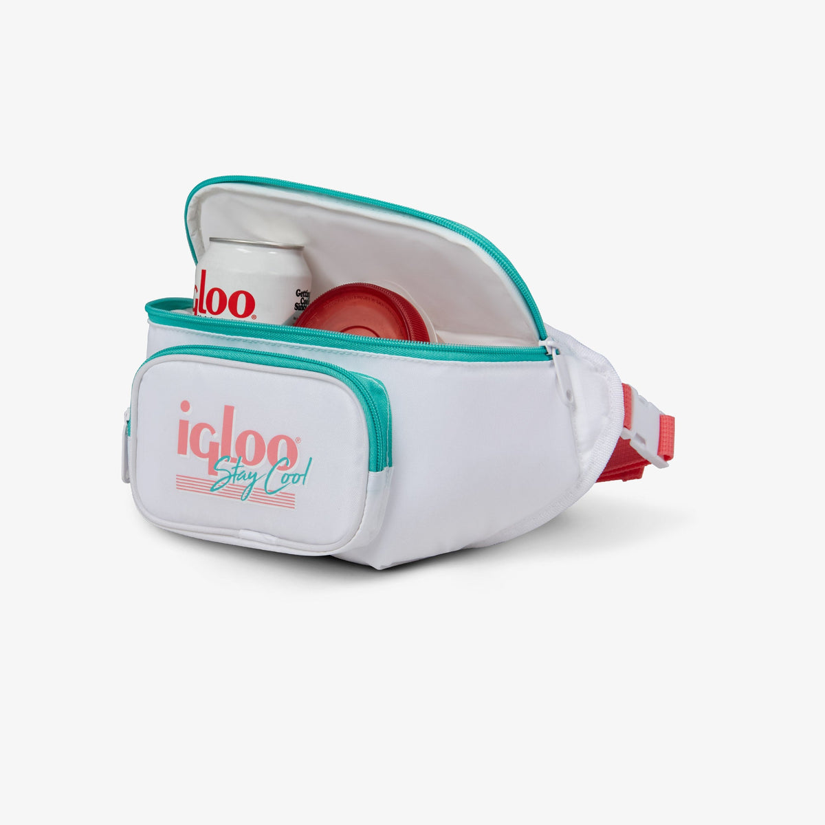 retro-fanny-pack-d6 00060951_3.jpg