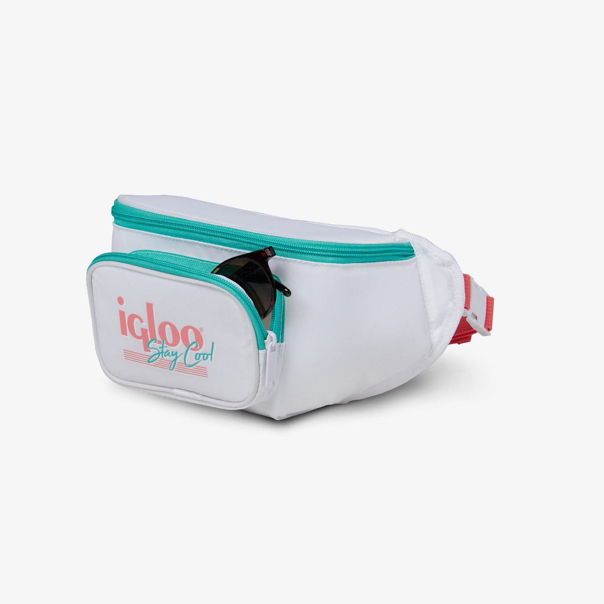 retro-fanny-pack-d6 00060951_4.jpg