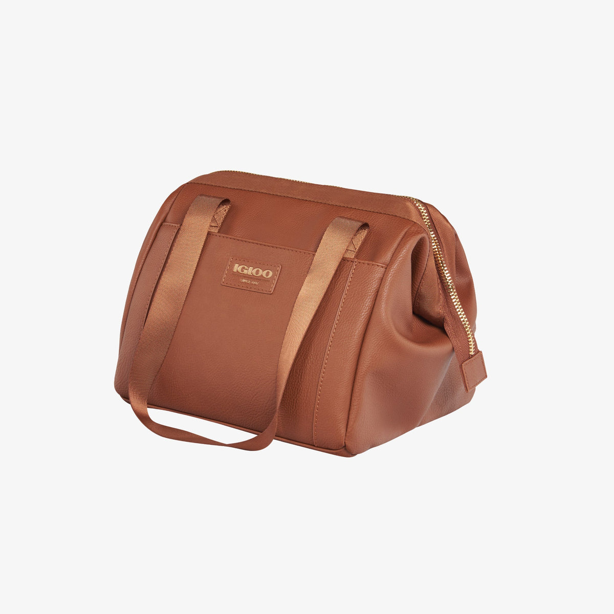 igloo-luxe-lunch-tote-cooler-bag-o5 00061160_2.jpg