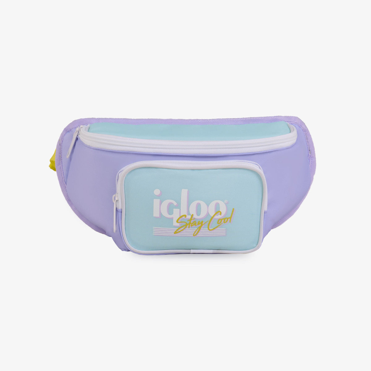 retro-fanny-pack-d6 00063078-F.jpg