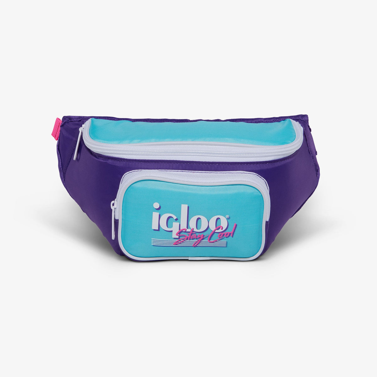 retro-fanny-pack-d6 00066056-F.jpg