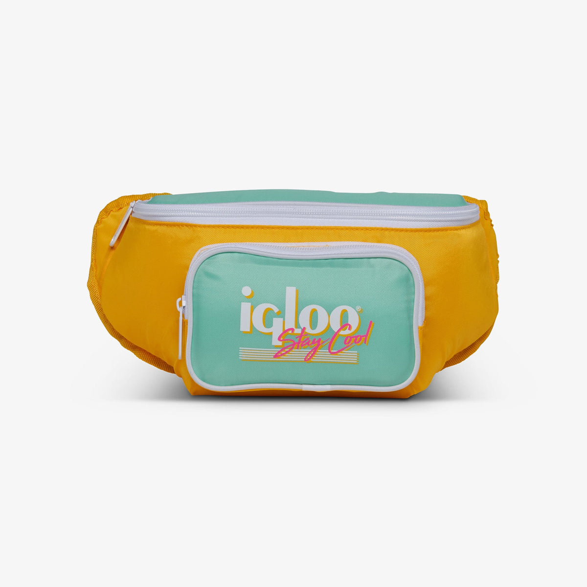 retro-fanny-pack-d6 00066057-F.jpg