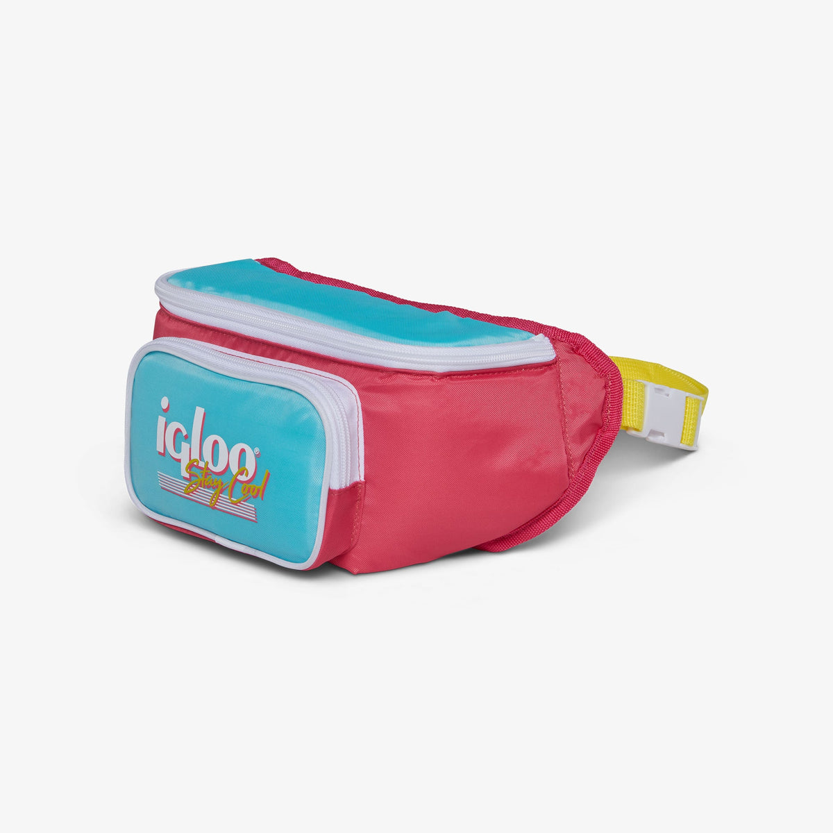 retro-fanny-pack-d6 00066058-H1.jpg