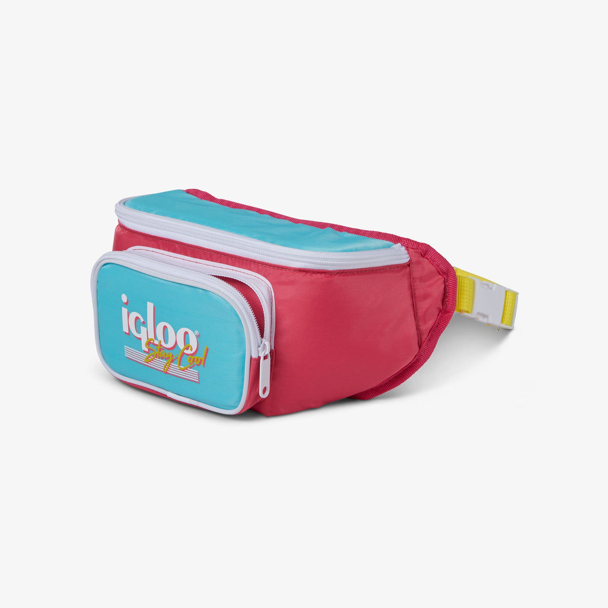 retro-fanny-pack-d6 00066058-O.jpg