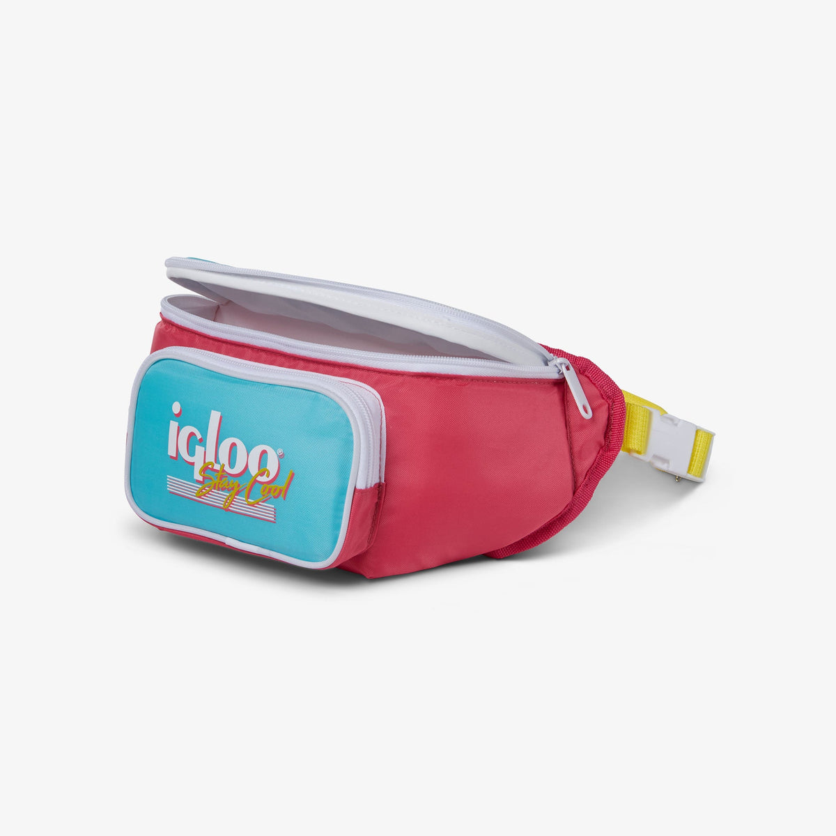 retro-fanny-pack-d6 00066058-O1.jpg