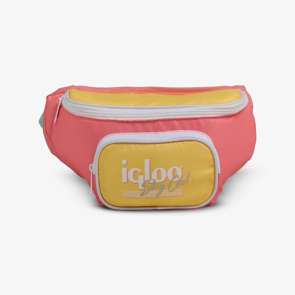 retro-fanny-pack-d6 00066660-F.jpg