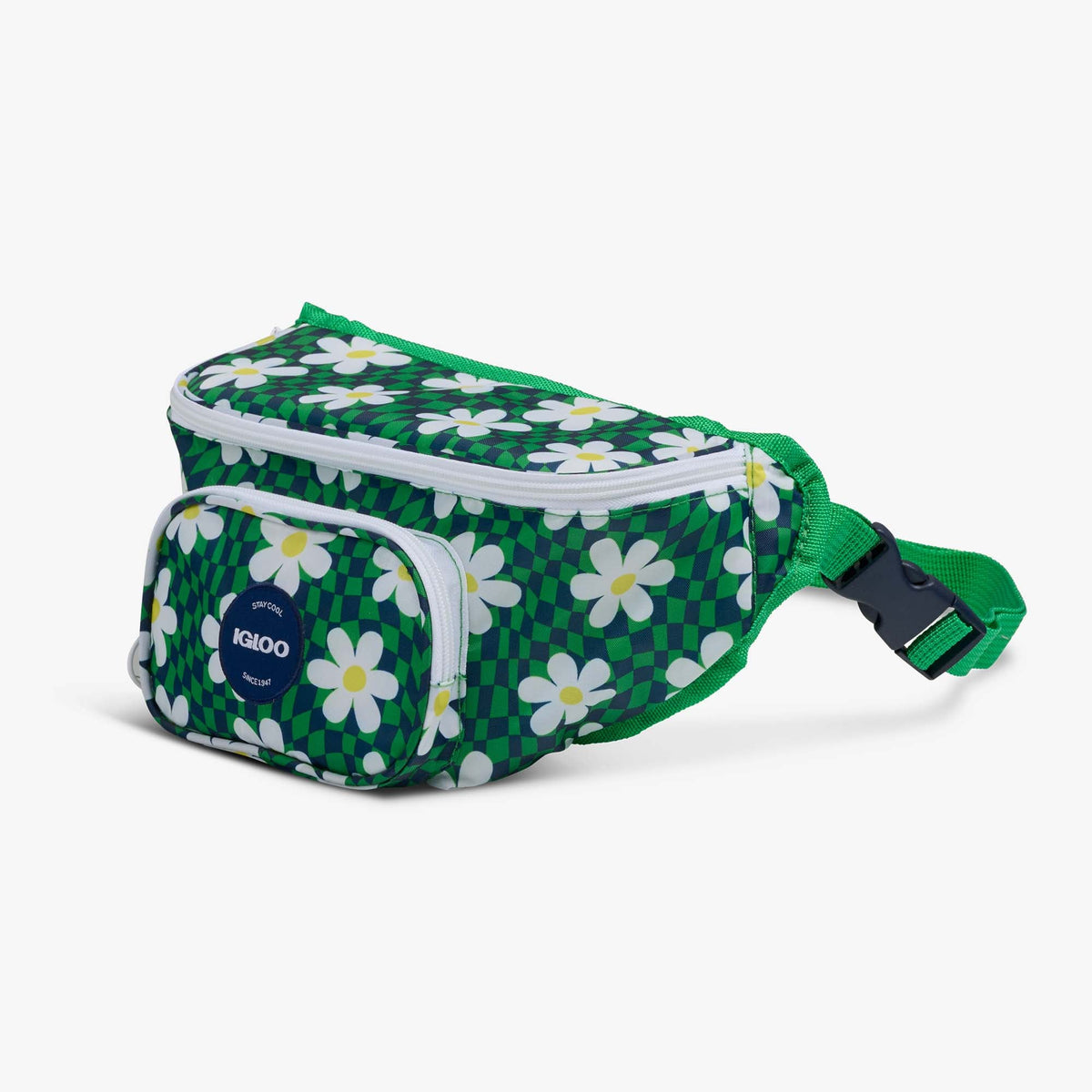 retro-fanny-pack-d6 00067206-H1.jpg