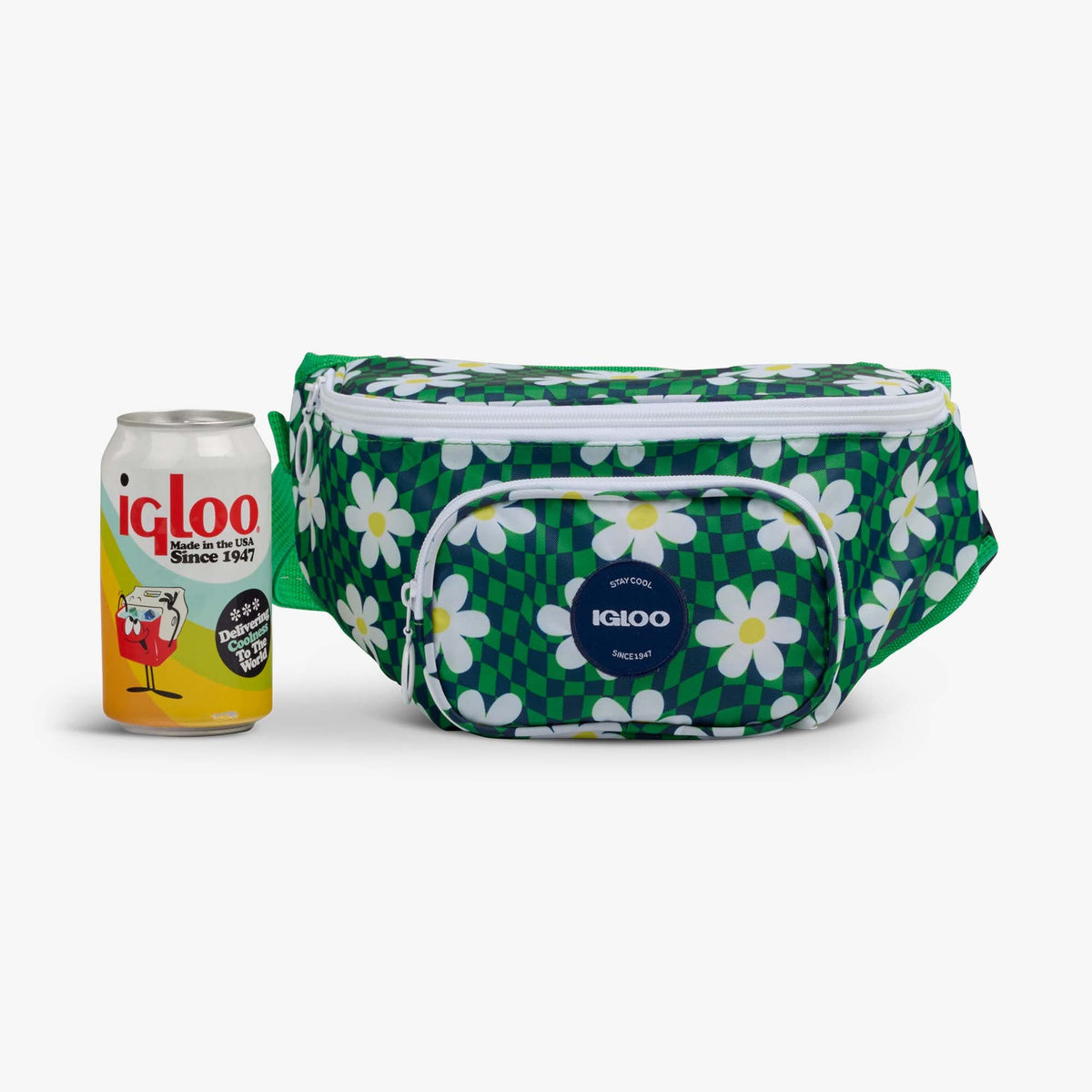 retro-fanny-pack-d6 00067206-P.jpg
