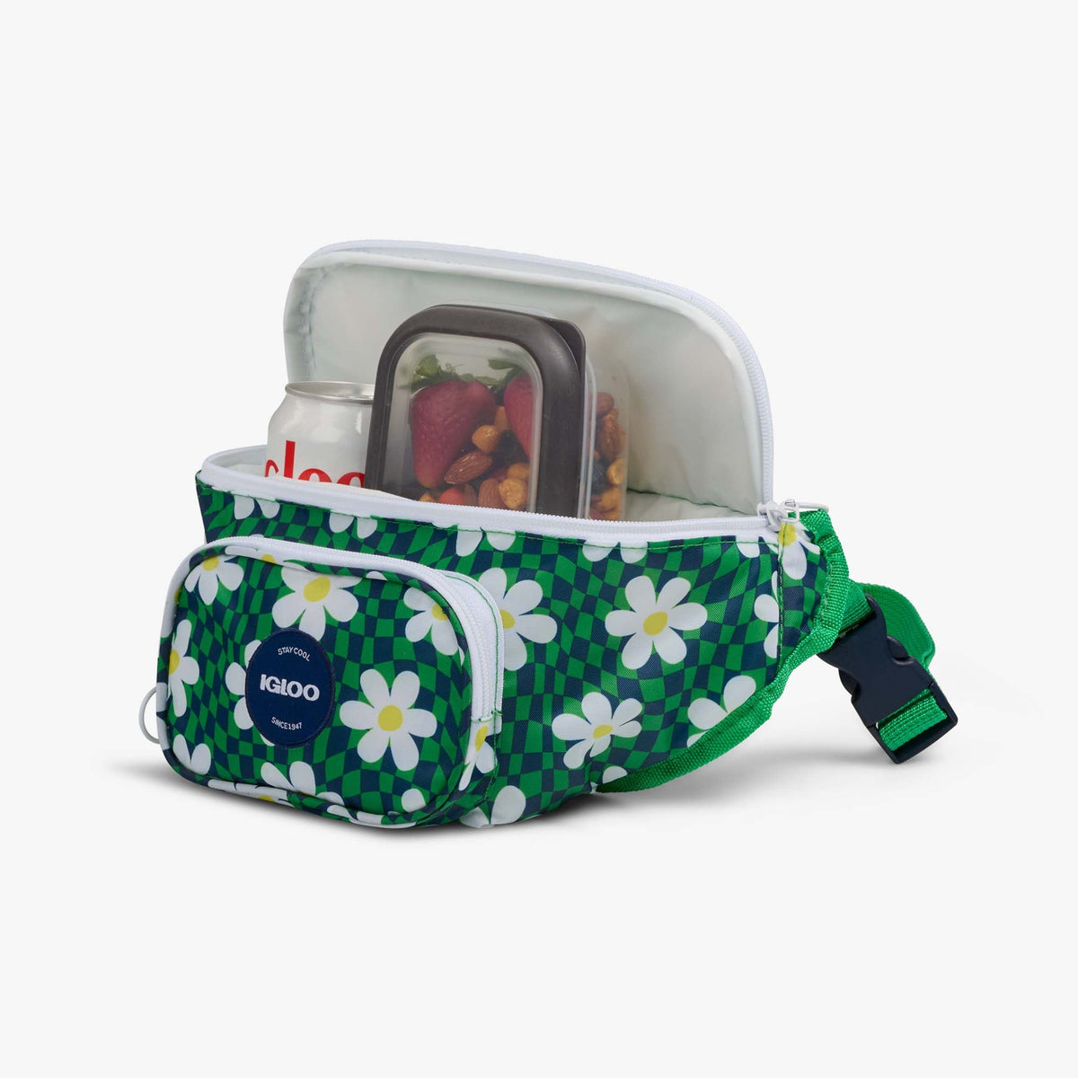 retro-fanny-pack-d6 00067206-P1.jpg